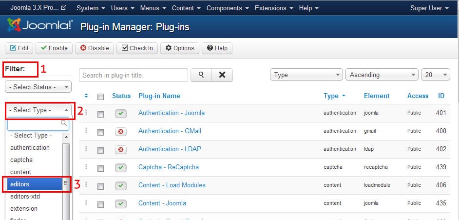 Tinymce Wysiwyg Editor Joomla Page