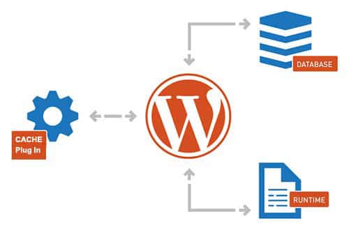 Optimize WordPress for Site Speed & SEO - Caching