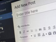 wordpress-blog-editor-post-cms-publish-wysiwyg
