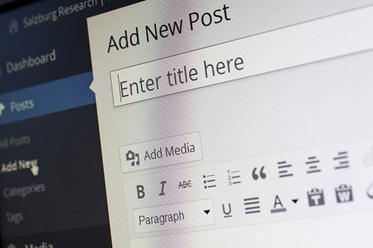 wordpress-blog-editor-post-cms-publish-wysiwyg