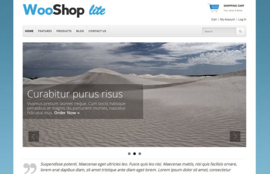 WooShop Lite