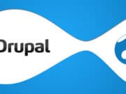 How to Optimize Drupal to Make it More Effective & Elegant