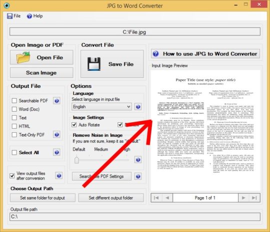 Input Image Preview