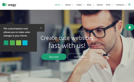 wegy-color-switcher