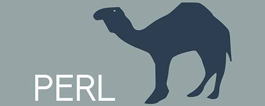Perl Programming Language