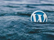 WordPress-Logo-2