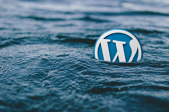 WordPress-Logo-2