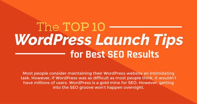 Top 10 WordPress Launch Tips for Best SEO Results (Infographic)