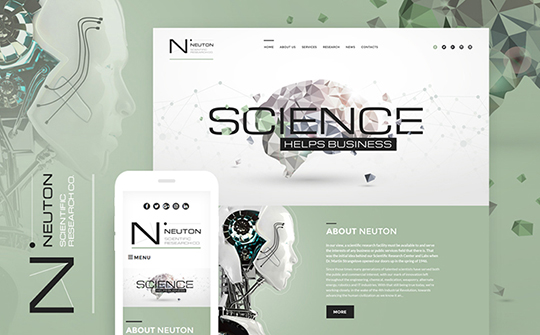 neuton-template-templatemonster