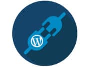 WordPress-Plugins-Themes-Addons