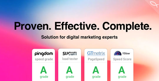 SEO-WP