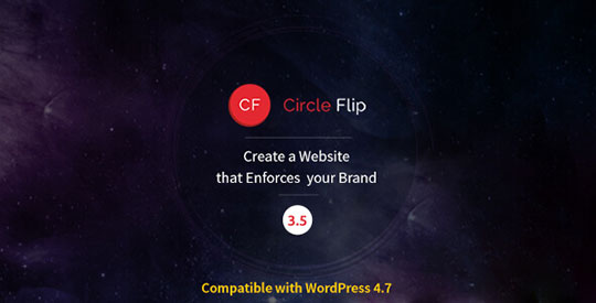 Circle-Flip-WordPress-Theme