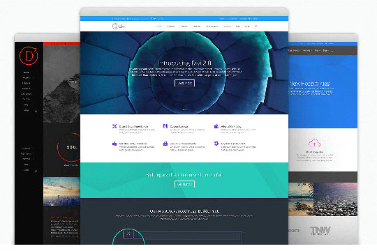 Divi - WordPress Business Themes