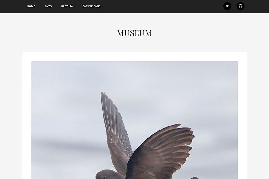 Museum