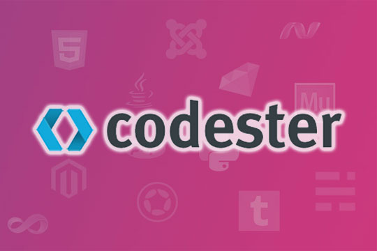 Codester Review: An Amazing Online Marketplace for Web Developers and Designers
