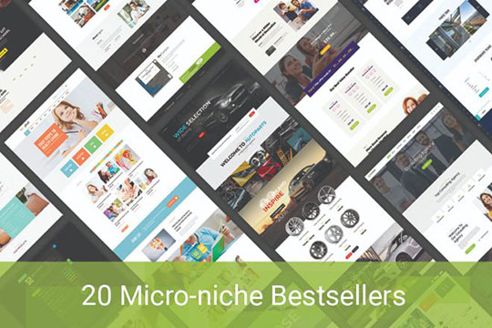 Best Selling Micro Niche WordPress Themes