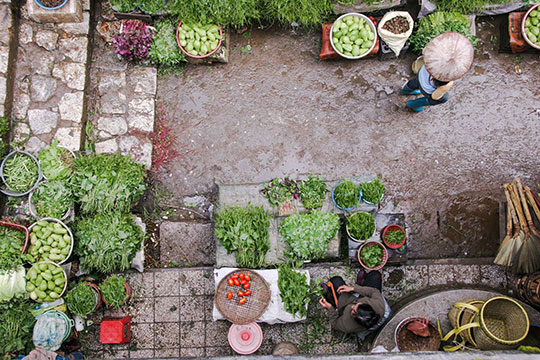 marketplace-shop-food-commerce