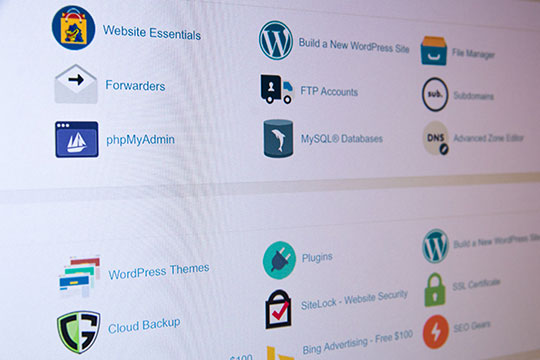cpanel-website-hosting-control-panel-online-electronics-store-wordpress