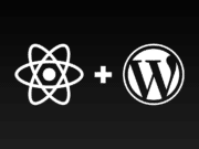 react-js-headless-wordpress