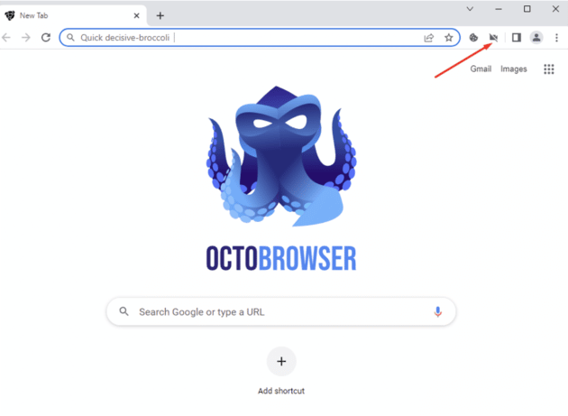 octo-browser-videostream-spoofing